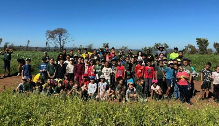 Imagem db7044a80c2c92490da7ff7acbce63af